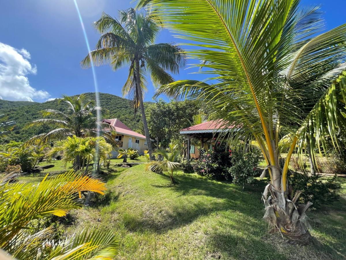 Residence Coco D'Iles, Gite Ti Bambou Terre-de-Bas Dış mekan fotoğraf